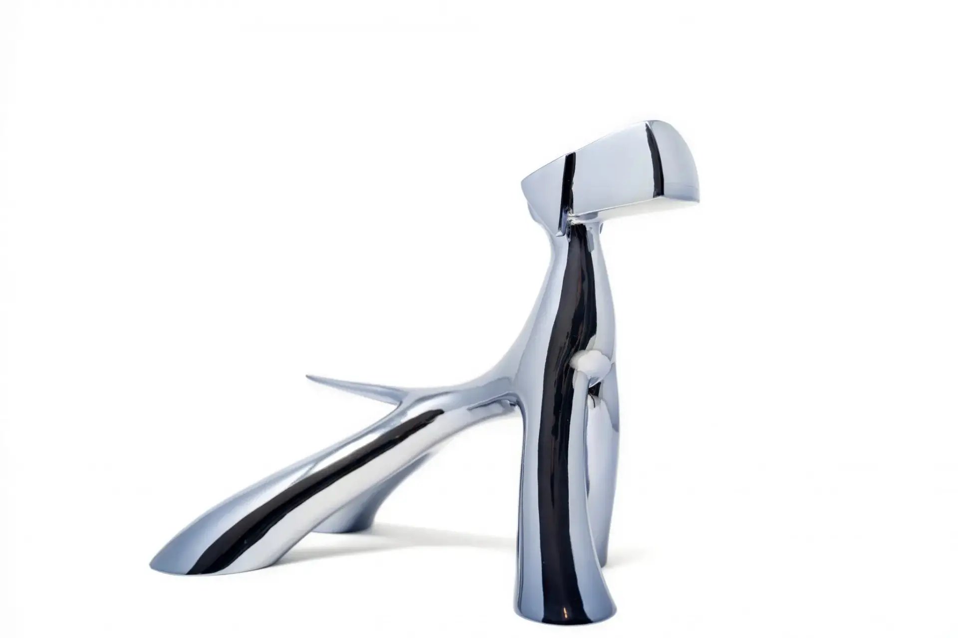 Chien darret 2048x1365 jpg